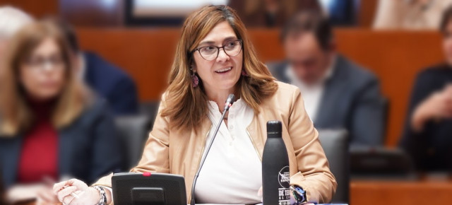 La portavoz de Sanidad del Partido Popular, Susana Gaspar