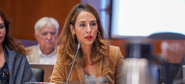 María Navarro, portavoz adjunta del Partido Popular en las Cortes de Aragón