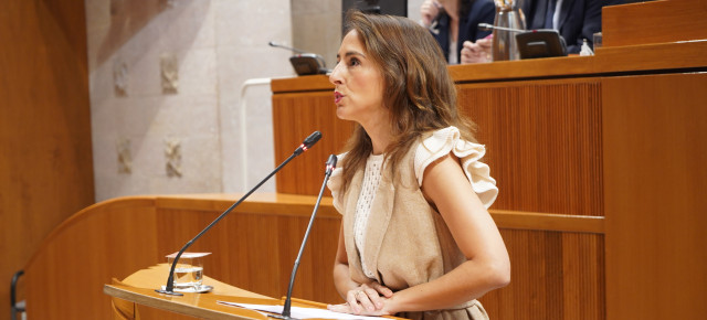 María Navarro, portavoz adjunta del PP