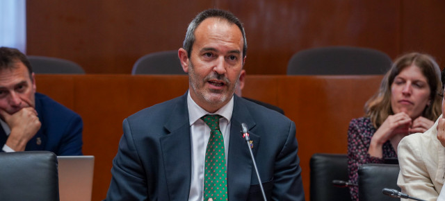 Juan Pablo Artero en la Comisión Institucional