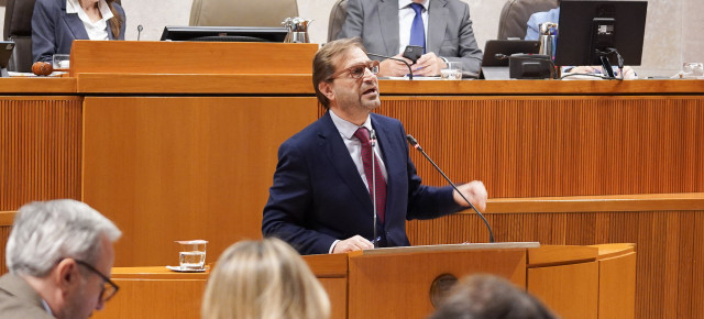 El portavoz del Partido Popular en las Cortes de Aragón, Fernando Ledesma